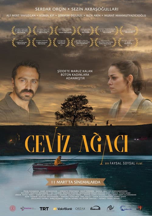 Ceviz Ağacı