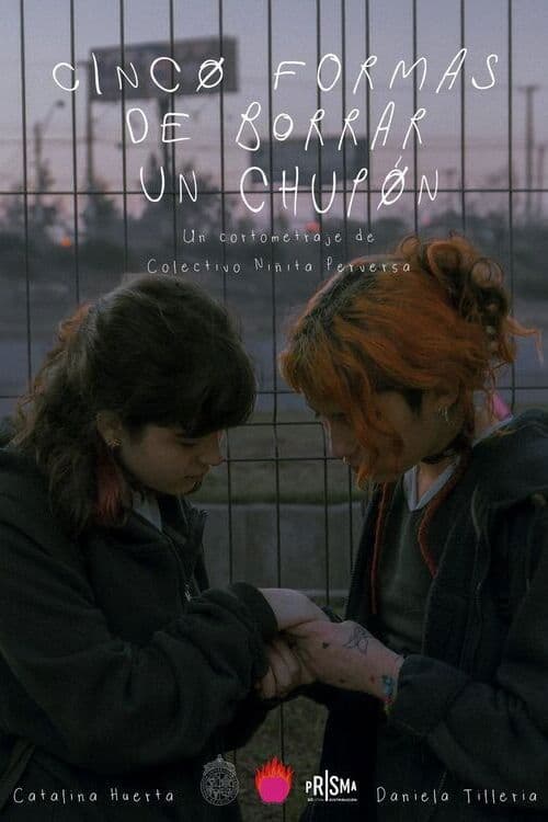 Cinco formas de borrar un chupón