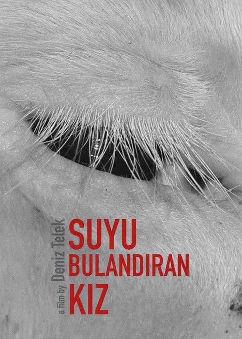 Suyu Bulandıran Kız