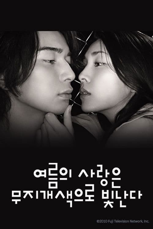 여름의 사랑은 무지개색으로 빛난다