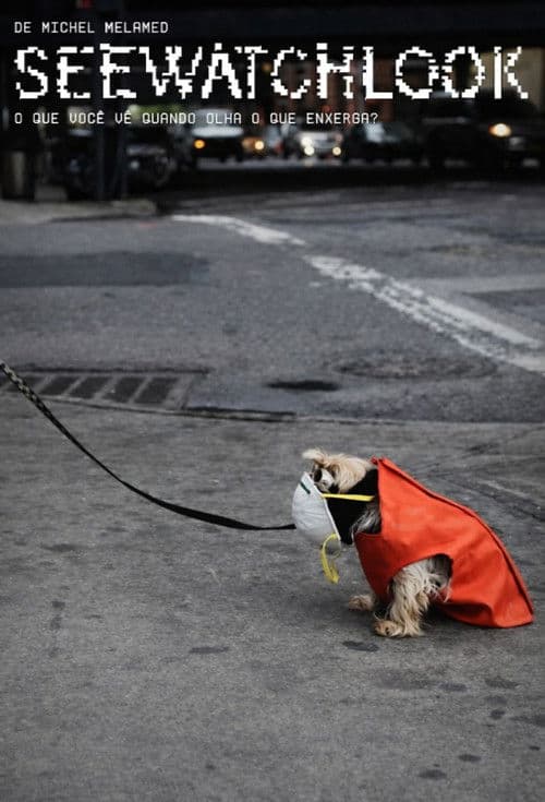 Seewatchlook – O Que Você Vê Quando Olha o Que Enxerga?