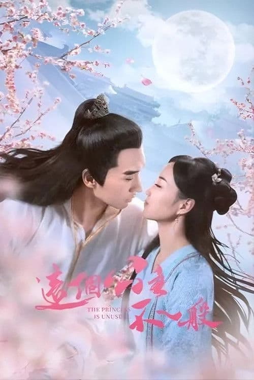 这个公主不一般