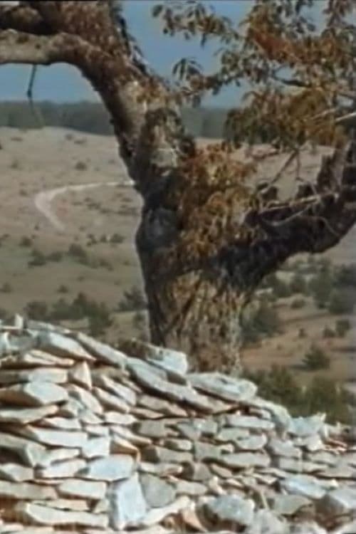 Buchladen: Giono - Bleibe, meine Freude