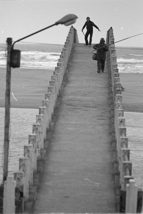 克麗絲汀（她的電影）