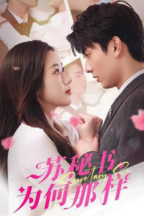 苏秘书为何那样