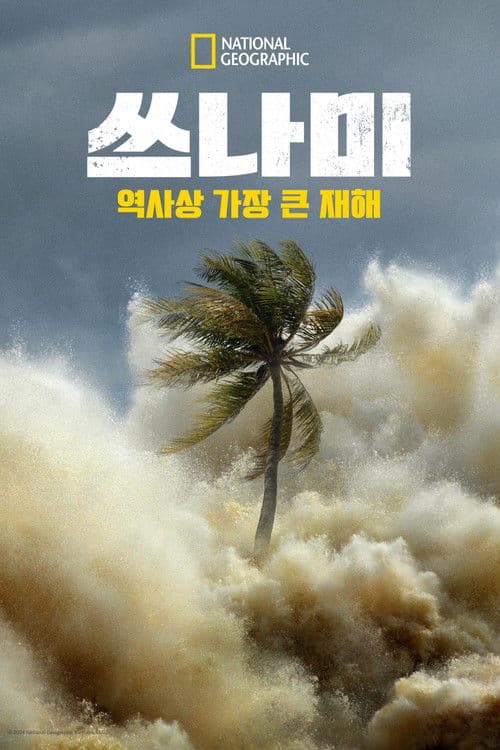 쓰나미: 역사상 가장 큰 재해