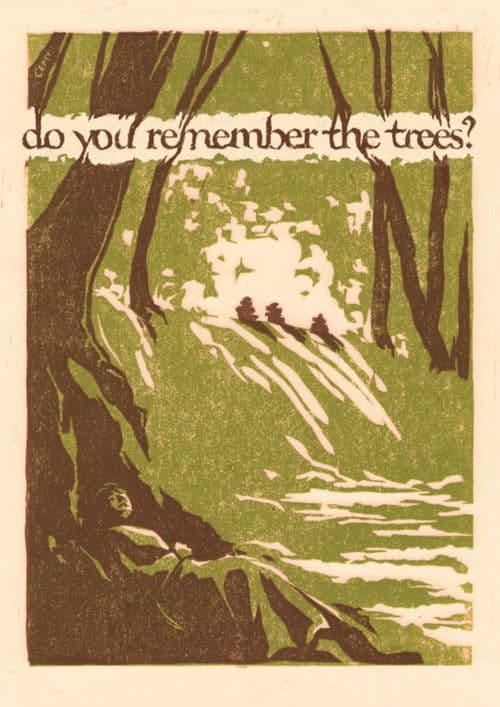 do you remember the trees?