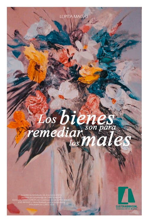 Los bienes son para remediar los males
