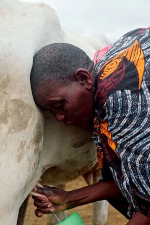 La sombra del Baobab