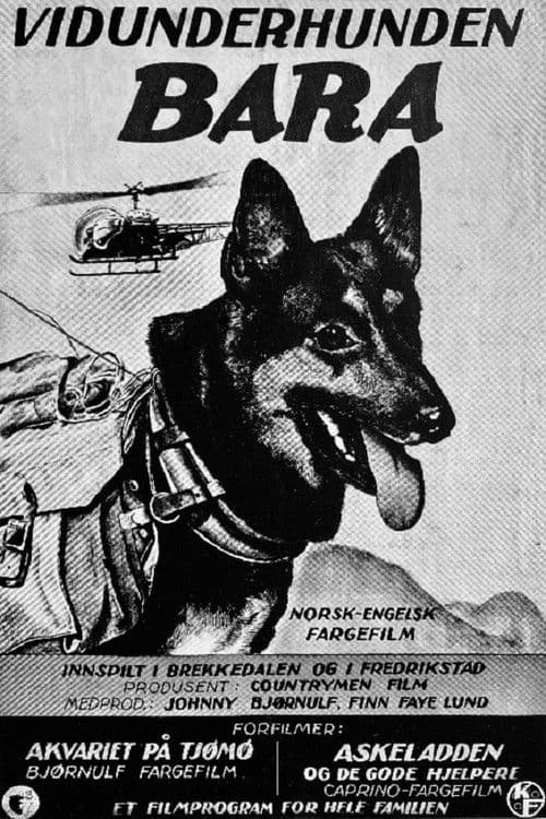 Vidunderhunden Bara
