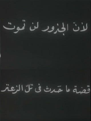 لأن الجذور لا تموت