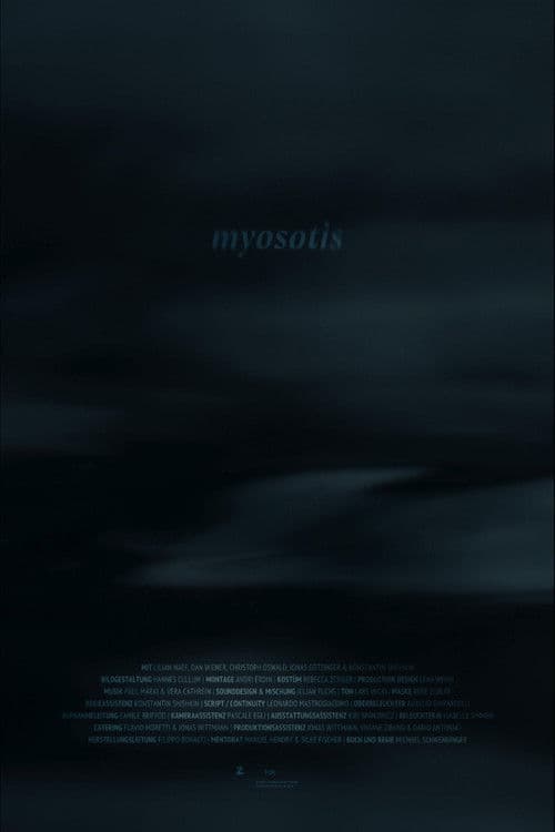 Myosotis