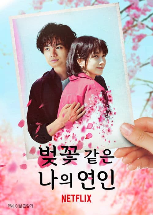 벚꽃 같은 나의 연인