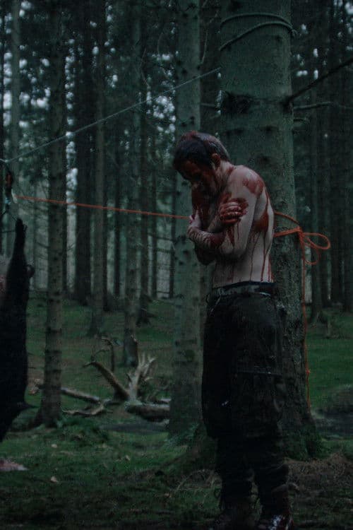 Træer Malet i Tjære