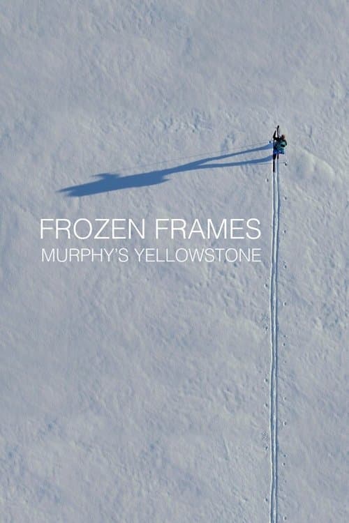 Frozen Frames: Murphy's Yellowstone