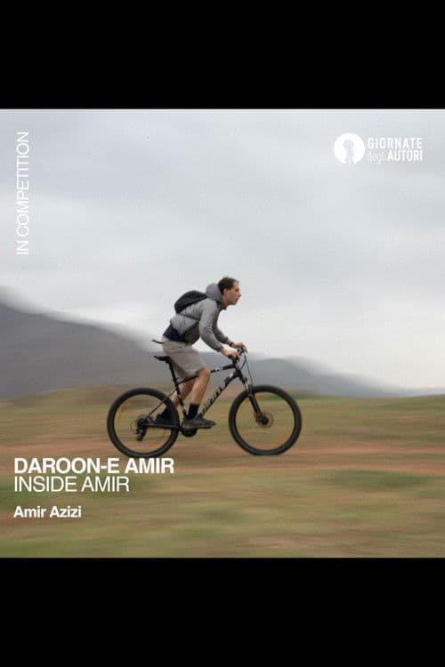 인사이드 아미르