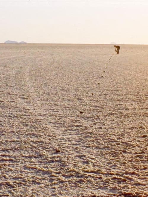 Vom Sehen im Salz. Oder: Zehn Strategien, in einer Unendlichkeit der eigenen Endlichkeit ins Auge zu blicken