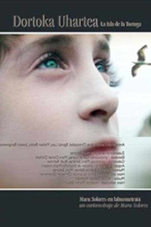 Insel der Schildkröte