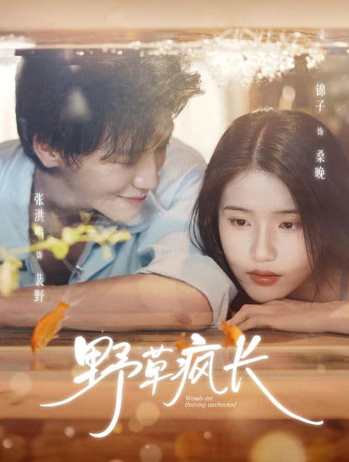 野草疯长