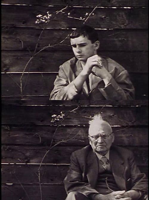 영화감독의 휴가