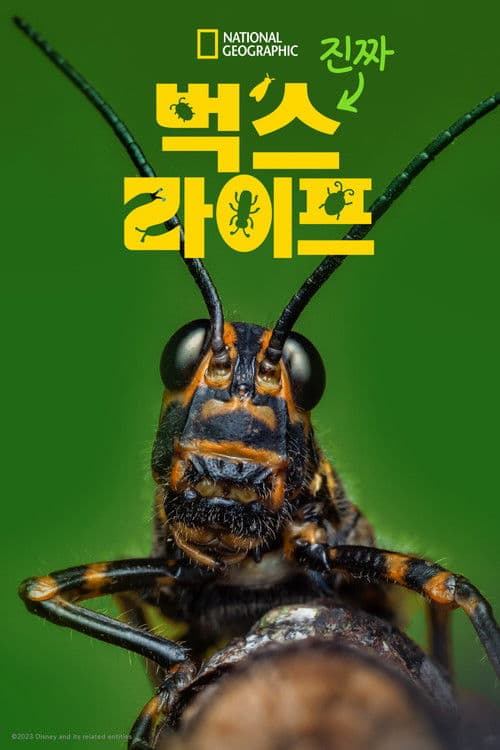 진짜 벅스 라이프