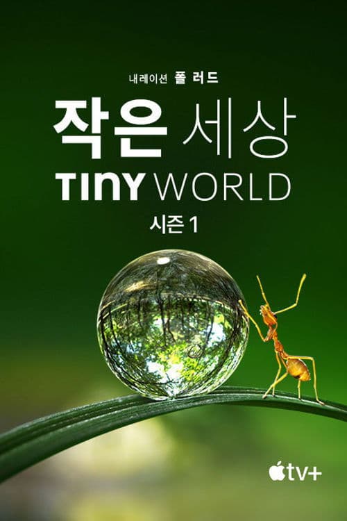 '작은 세상' - Tiny World