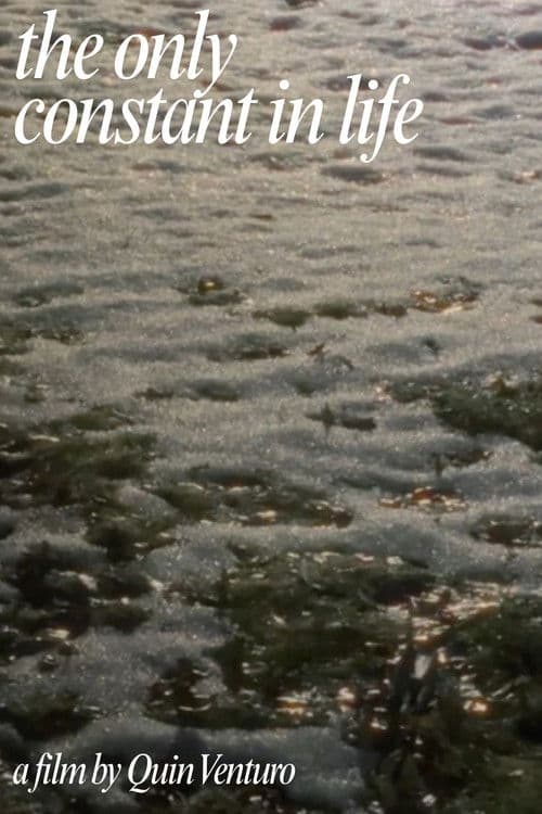 The Only Constant In Life