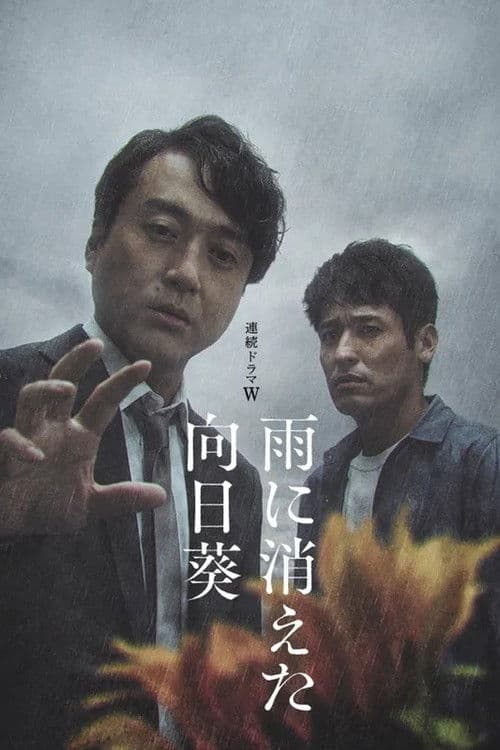 비에 사라진 해바라기