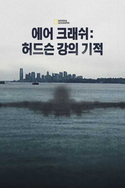 에어 크래쉬: 허드슨 강의 기적