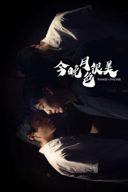 今晚月色很美