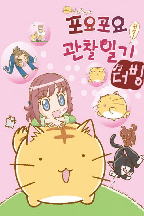 포요포요 관찰일기