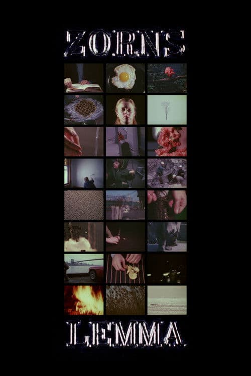 초른의 보조정리