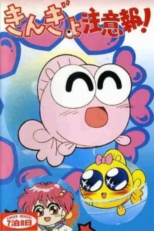 금붕어 주의보!