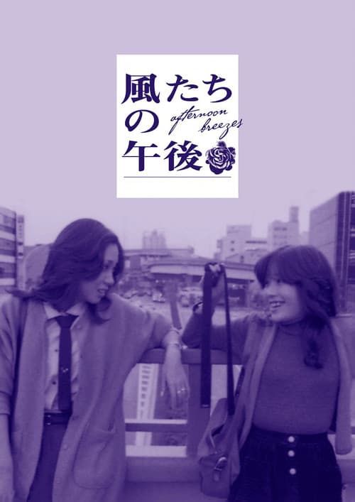 애프터눈 브리지스