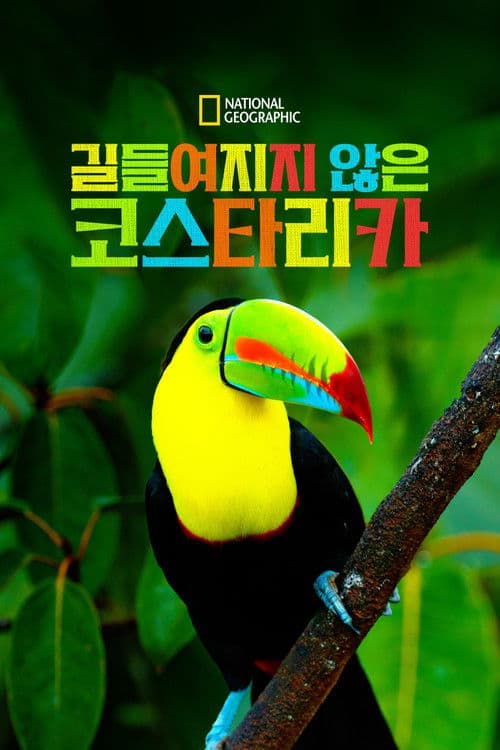 Untamed Costa Rica with Filipe DeAndrade