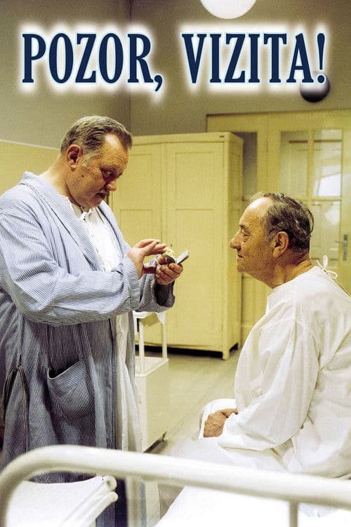 Pozor, vizita!