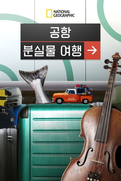 공항 분실물 여행