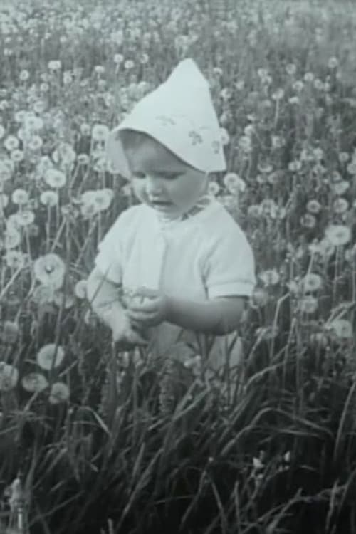 Pro žydinčią liepą