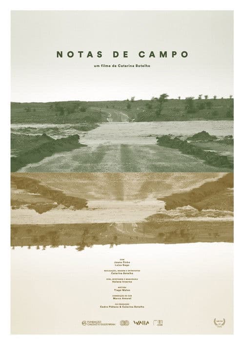 Notas De Campo