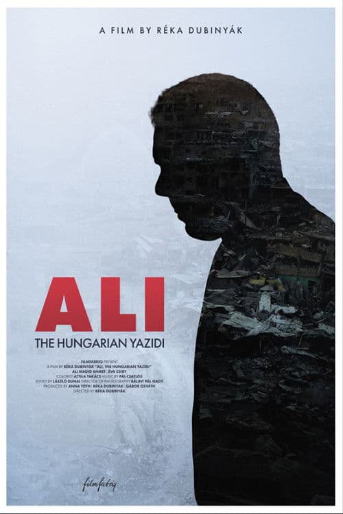 Ali, a magyar jezidi