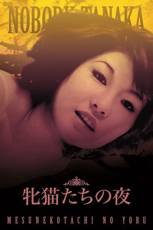 나이트 오브 더 필라인스