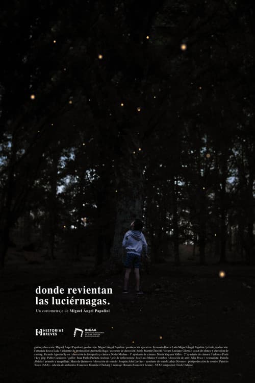 Donde revientan las luciérnagas