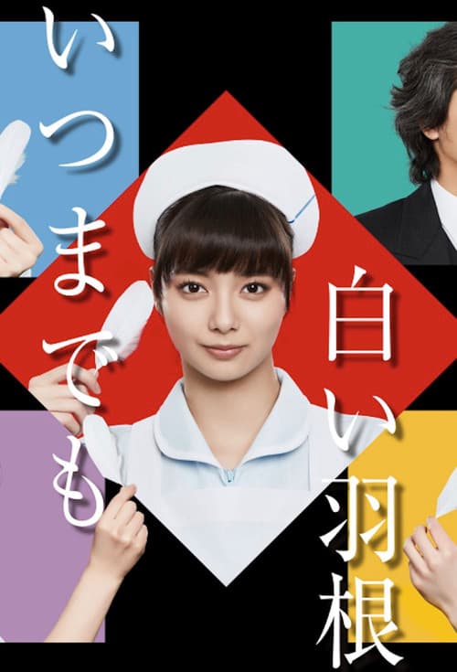 언제까지나 하얀 날개