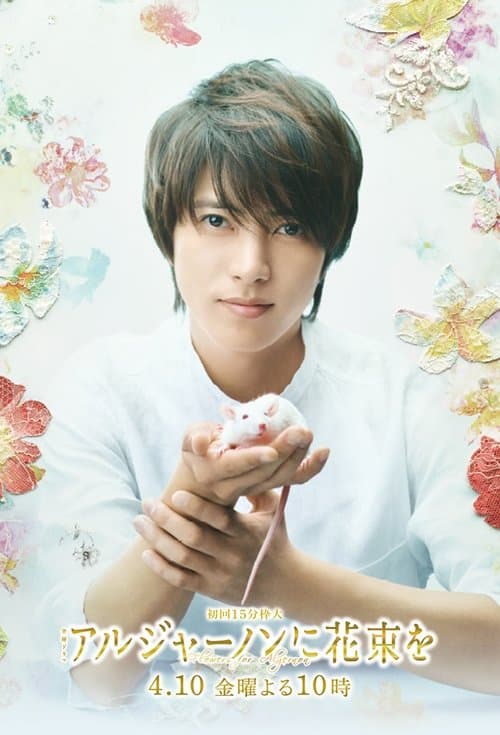 아르제논에게 꽃다발을