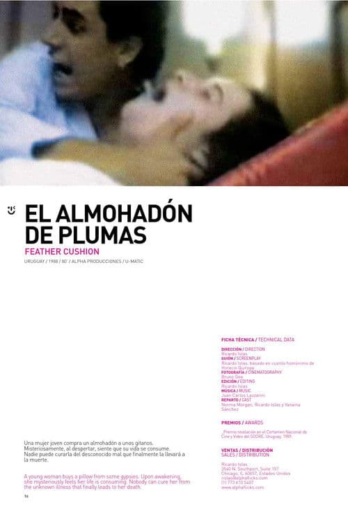 El Almohadón de Plumas