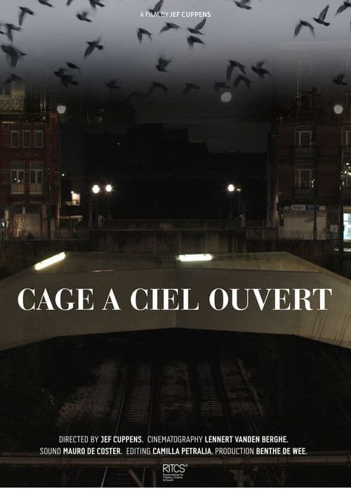 Cage À Ciel Ouvert