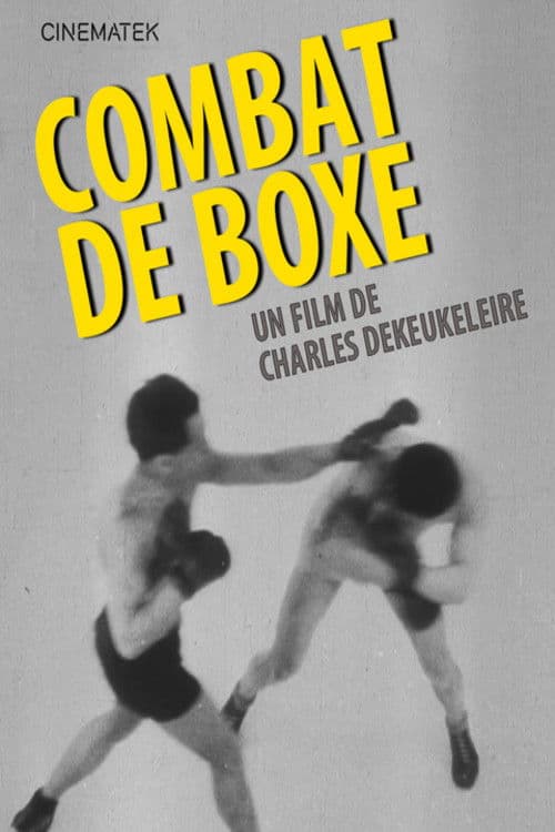 Combat de boxe