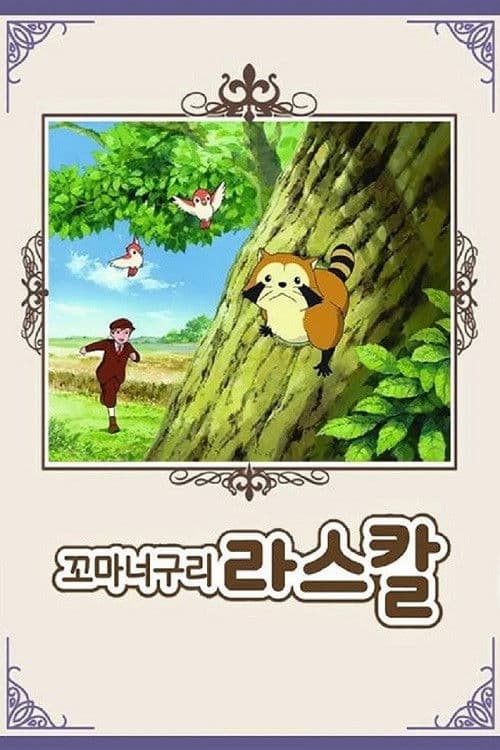 꼬마 너구리 라스칼