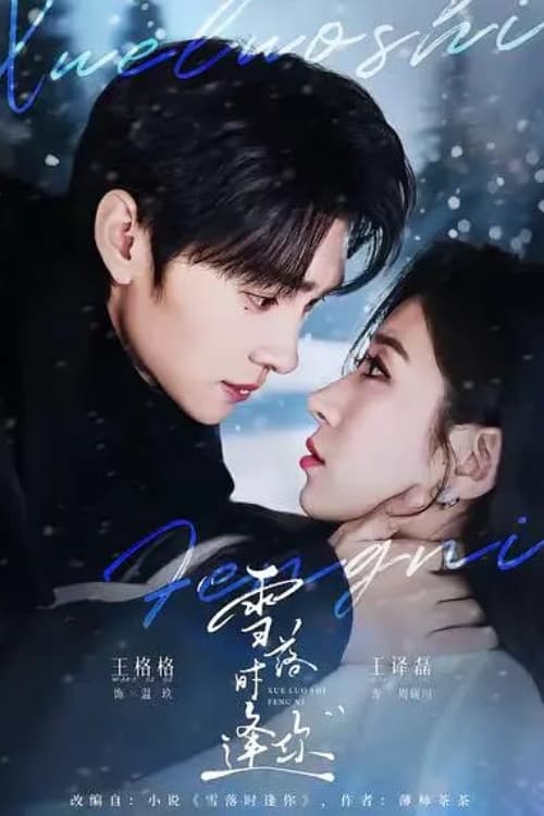雪落时逢你