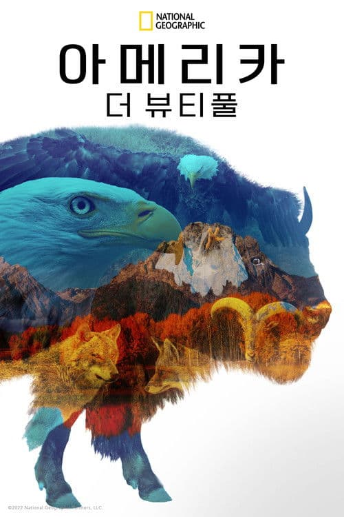 아메리카 더 뷰티풀